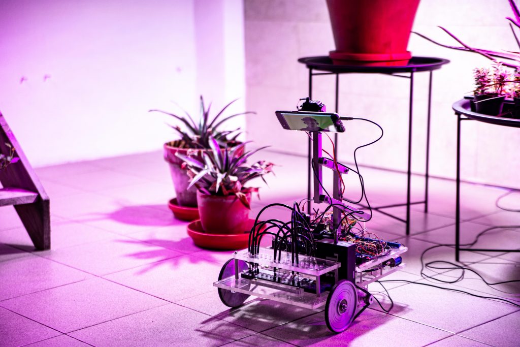 gara.aste.gallery – izstāde tiešsaistē