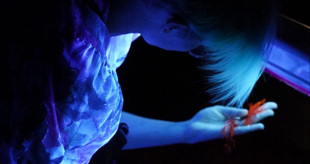 Exhibition EKONAUTI until July 23 in Liepāja