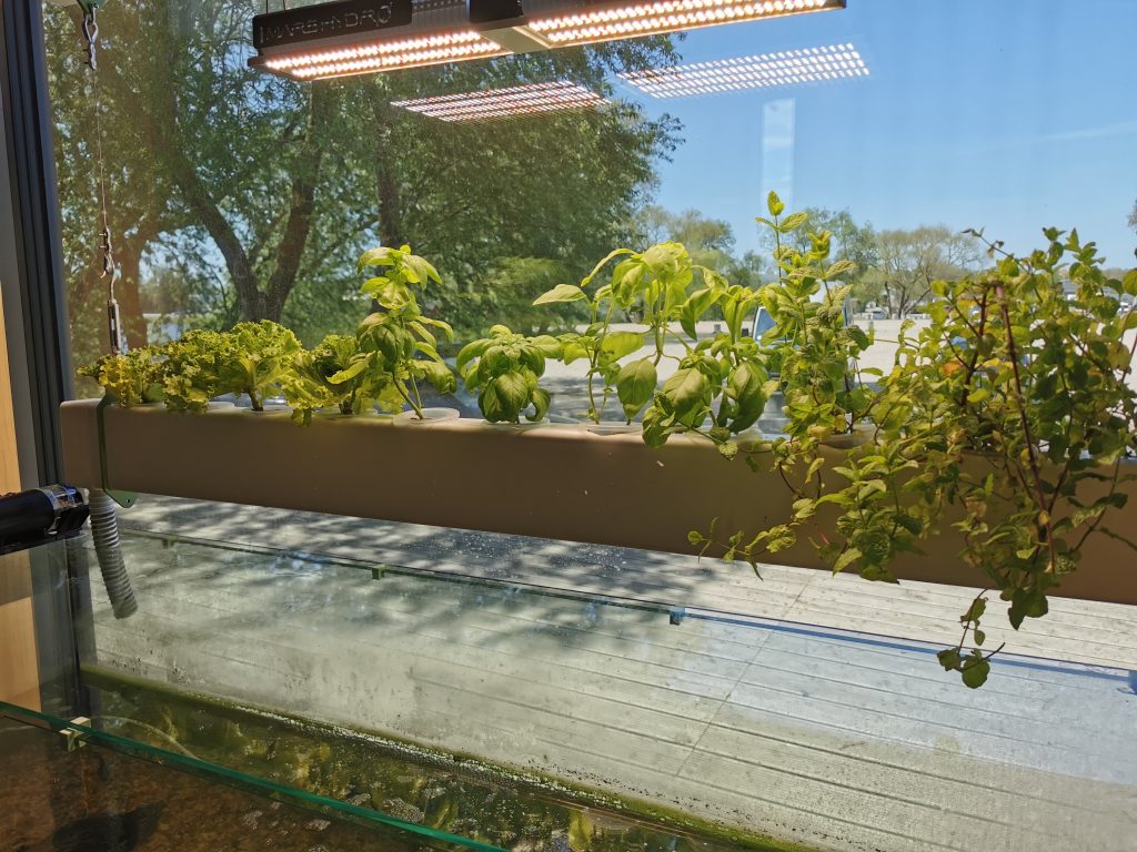 ASTE selected for support from EIT Community New European Bauhaus Citizen Engagement projects