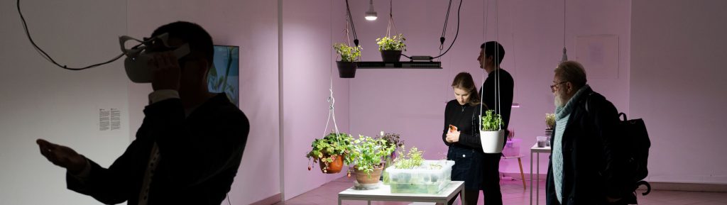 Exhibition in Klaipeda “Mindful Explorations”