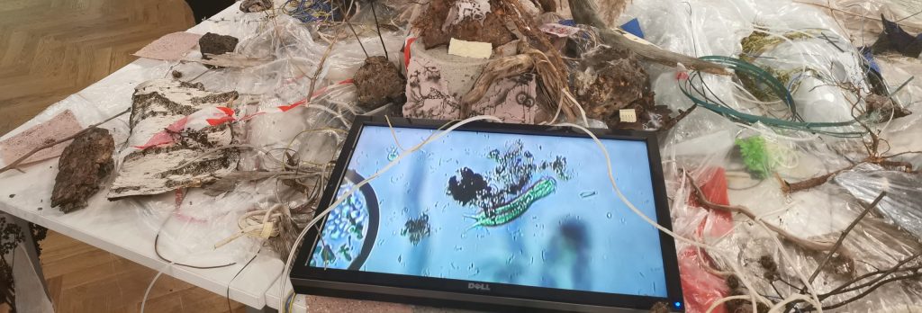 Installation “Brown Lagoon” until November 17