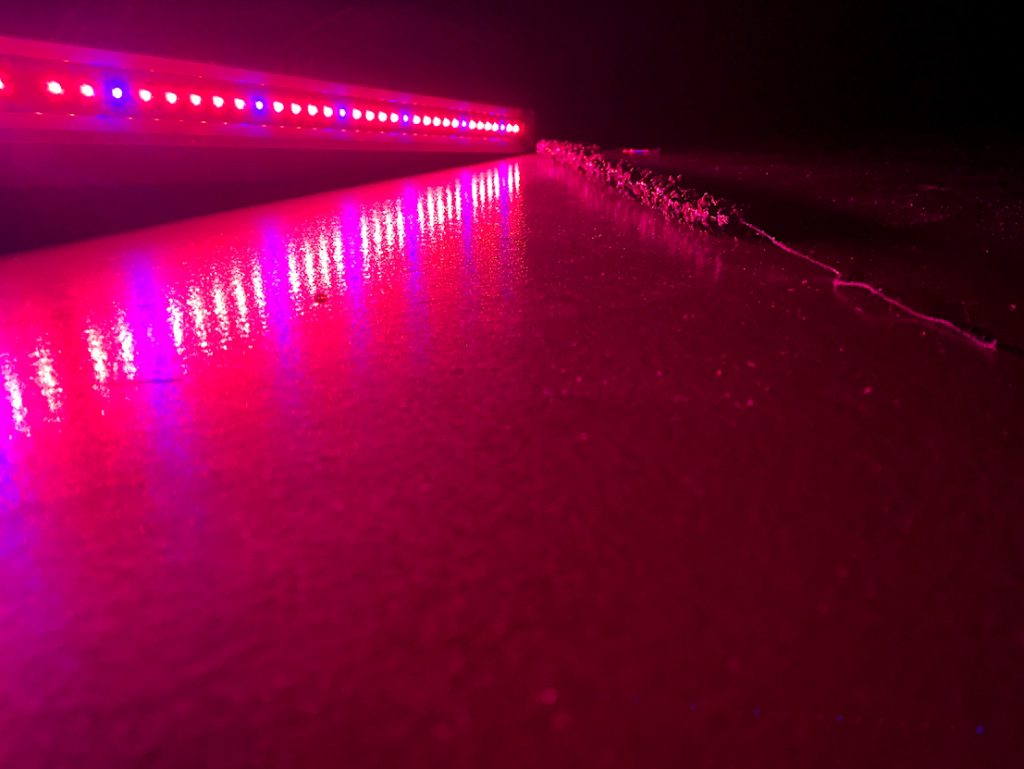 A Saturday for art, technology, discussions, and families at the UPDATE festival