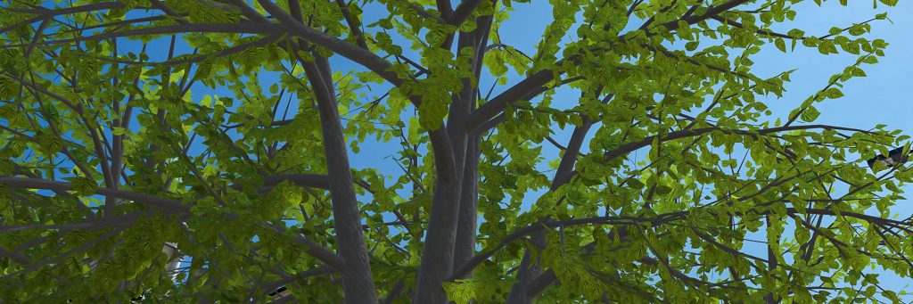 ART+ darbs PAPĪRA KOKI apskatāms Karlsrūē (Vācija)